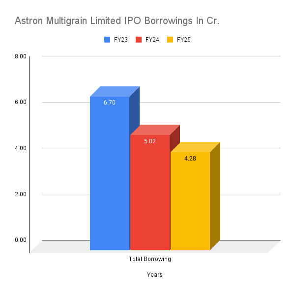 Astron Multigrain Limited IPO Borrowings In Cr