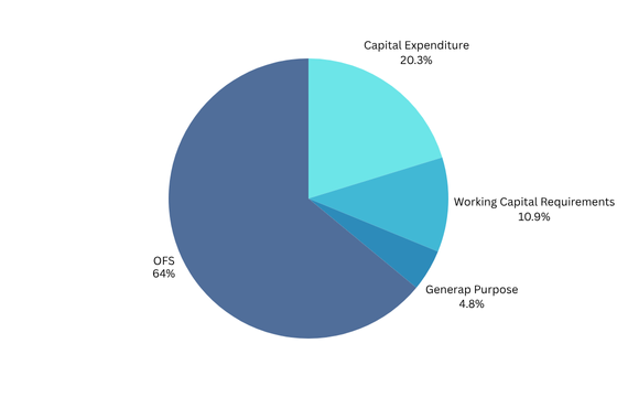 Copy of Untitled Brand Template Graph showing the main objectives of Excelsoft Technologies IPO including funding allocation and business expansion plans.