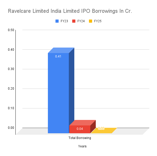 Ravelcare Limited India Limited IPO Borrowings In Cr