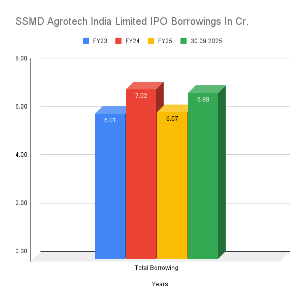SSMD Agrotech India Limited IPO Borrowings In Cr