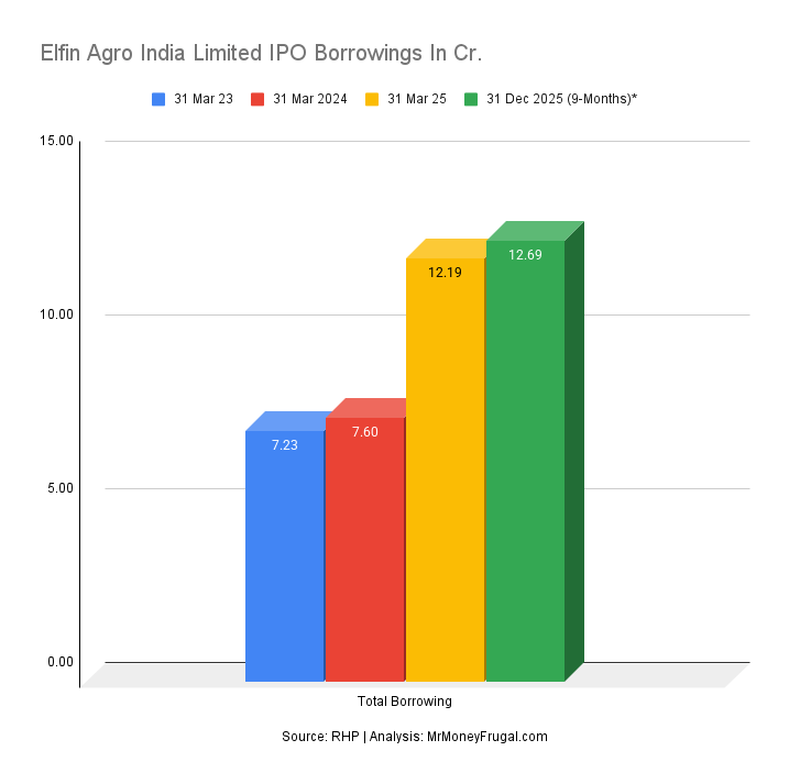 Elfin Agro India Limited IPO Borrowings In Cr (2) (1) Elfin Agro India Limited IPO Borrowings In Cr.