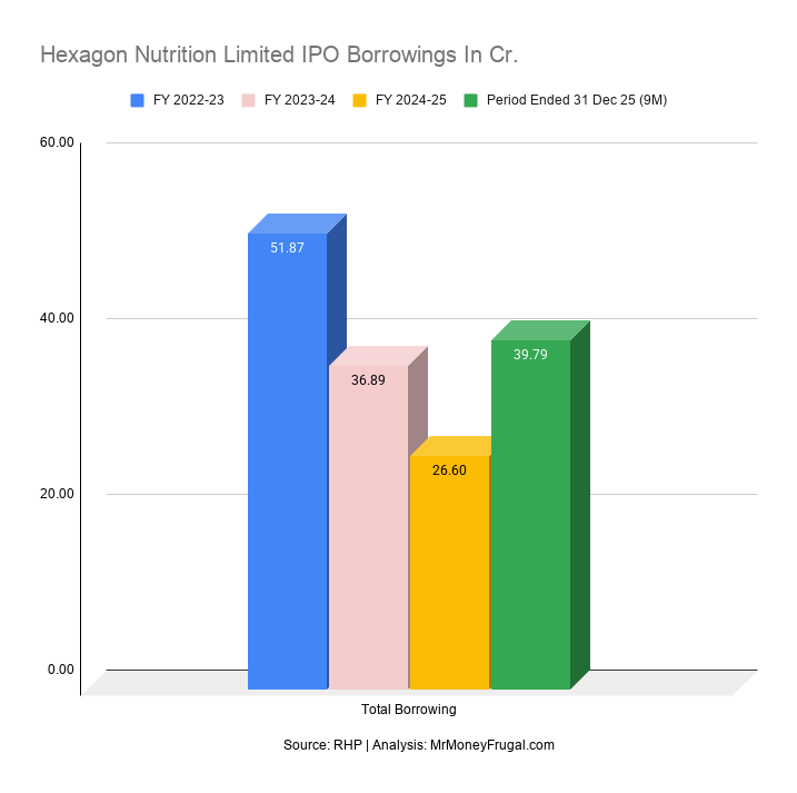 Hexagon Nutrition Limited IPO Borrowings In Cr Hexagon Nutrition Limited IPO Borrowings In Cr